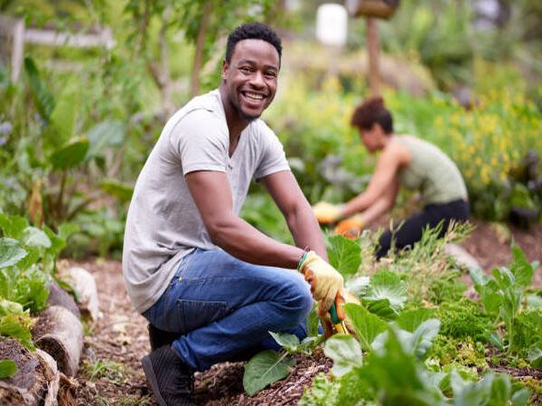 AGRICULTURE